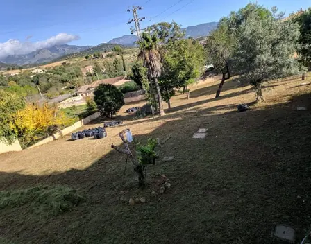 JJ. ORTIZ Reformas y Jardinería – reformas en Palma